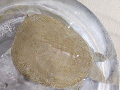 -映月潭传家菜(易俗河店)