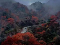 -秦岭风景区