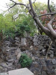 -苏州大学附属儿童医院(景德路院区)