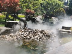 -黄贤森林公园