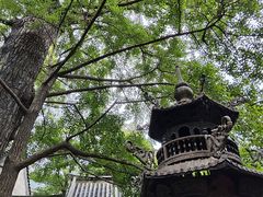 -青岛崂山太清宫