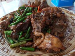 -凤百年大骨鸡饭庄