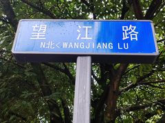 -望江楼公园