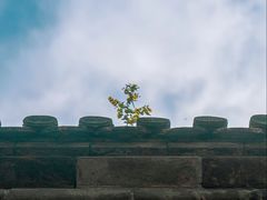 -妙峰山风景名胜区