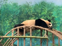 -杭州动物园