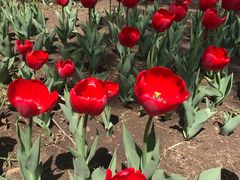 -长春公园(普阳街道)