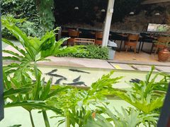 -大理老字号·舟渔的鱼野生菌海景餐厅(双廊店)