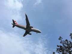 -空港花田景区