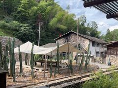 -MOJ coffee(瓯海泽雅水碓坑店)