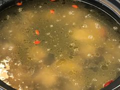 -蘑统田下·野生菌火锅