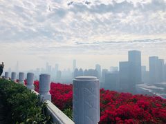 -荔枝公园-小平画像广场