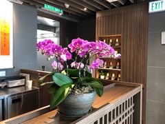 -春水堂人文茶馆(西九龙站店)
