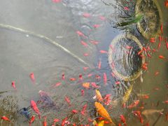 -聚缘堂·海鲜私房菜(松岭路店)