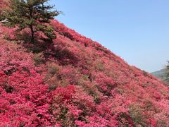 -木兰云雾山
