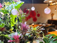 -森味薪火烧•烧鸟居酒屋•日本料理(望京店)