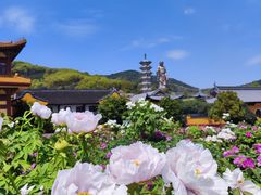 -灵山胜境