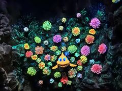 -珠海长隆海洋王国