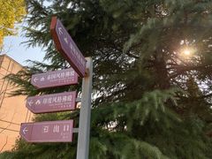 -洛阳白马寺
