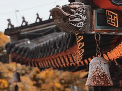 -香山公园