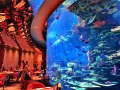-迪拜帆船酒店海底餐厅