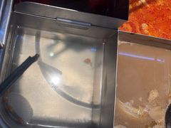 -海底捞火锅(大融城店)