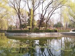 -洛阳市隋唐城遗址植物园