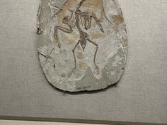 -辽宁古生物博物馆