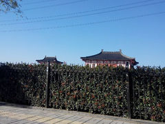 android_upload_pic-定鼎门遗址博物馆