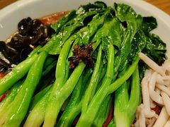 -新白鹿餐厅(百联中环店)