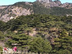 -黄山风景区