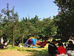 -重庆平顶山公园