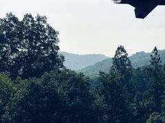 -杭州花家山庄