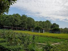 -洪湖家庭农场·团建·露营·会议
