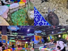 -顺德南宏海立方海洋公园