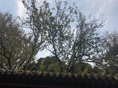 -恭王府博物馆
