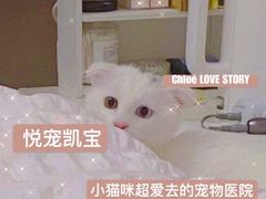 -悦宠凯宝动物医院·牙科·皮肤科(朝阳北路店)