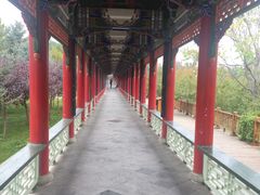 -兰山公园