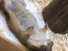 -1861意大利餐厅(文化广场店)