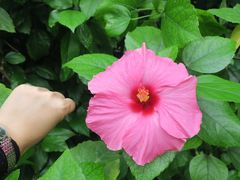 -南通洲际绿博园