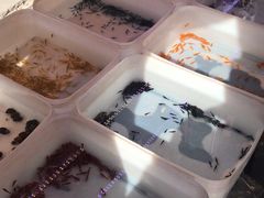 -华声天桥民俗文化园