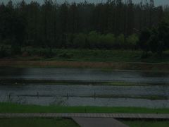 -合肥滨湖国家森林公园