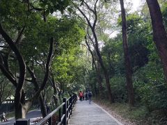 -广州市白云山风景名胜区