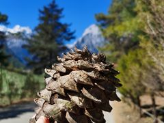 -玉龙雪山蓝月谷