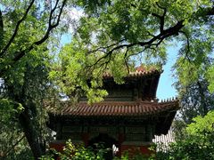 -北京国子监胡同
