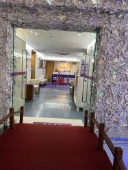 -深圳美莱医疗美容医院