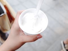 -洪馨椰子