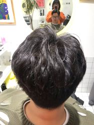 -大象造型