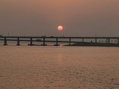 -宝安西湾红树林湿地公园