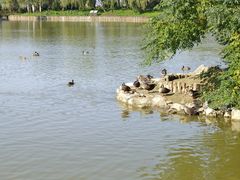 -盐城丹顶鹤湿地生态旅游区