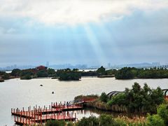 -芒洲湿地公园